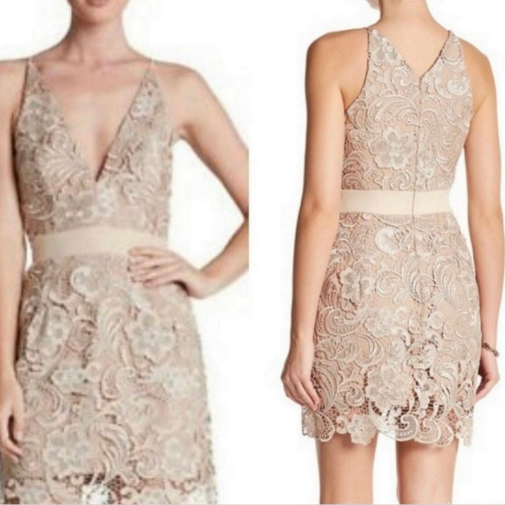 Dress the Population Golden lace crochet cocktail dress